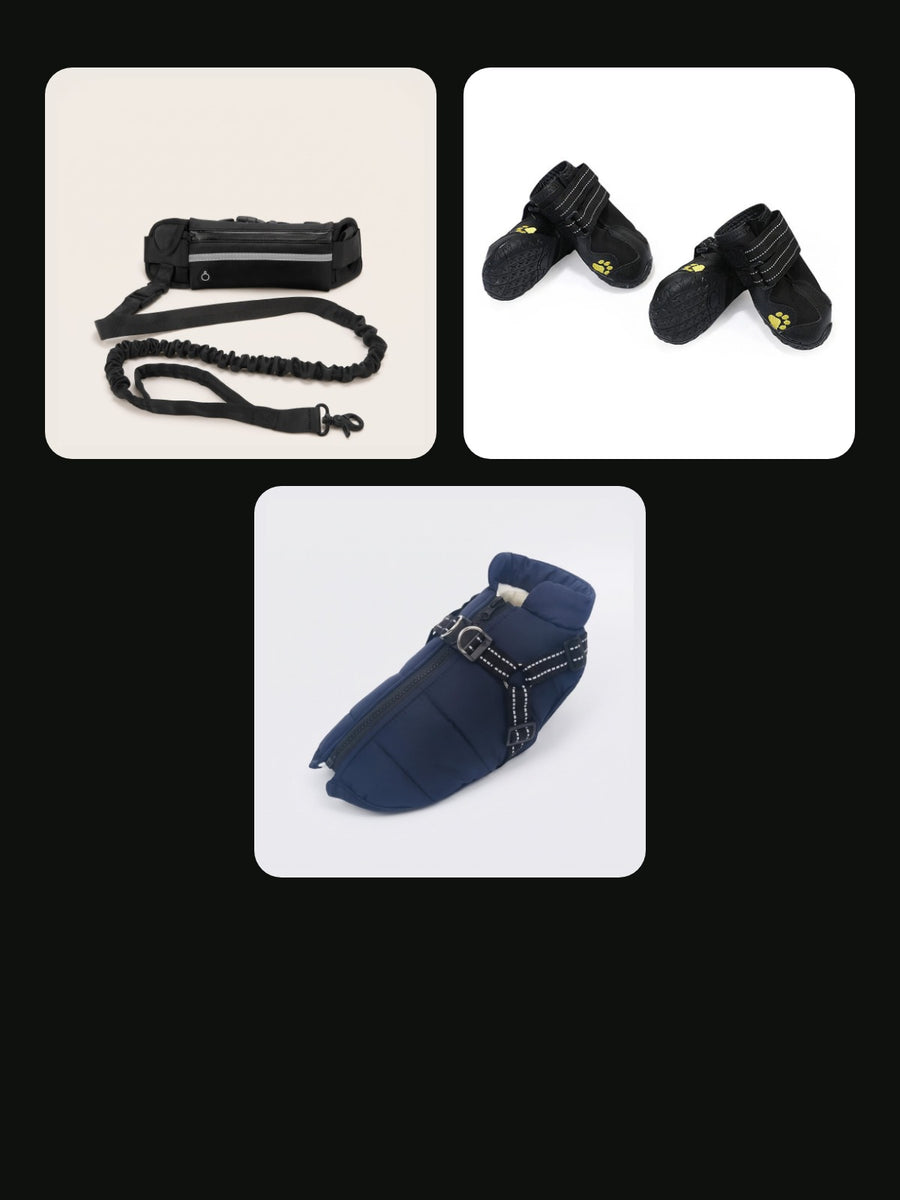 Handsfree-bälte med dämparkoppel, vattentäta hundskor och vinterjacka med inbyggd sele.