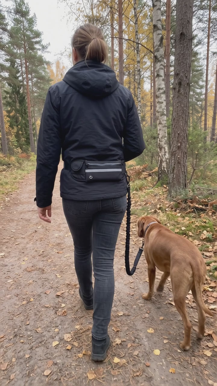 Promenad med händerna fria i höstskogen, sedd bakifrån