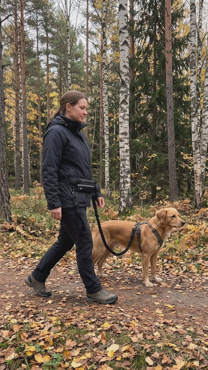 Kvinna och hund på höstig skogsstig, kopplet sitter i midjebältet och båda händerna är fria